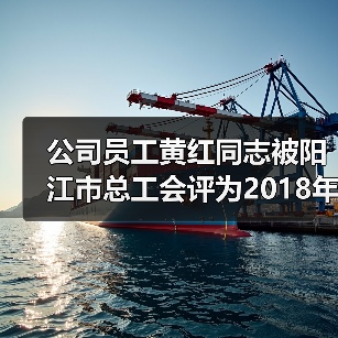 公司员工黄红同志被阳江市总工会评为2018年“阳江市建功立业女能手”（图2）