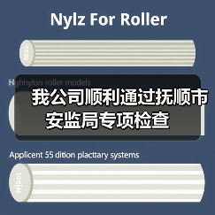 我公司顺利通过抚顺市安监局专项检查（图4）