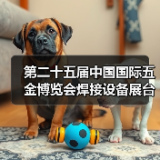 第二十五届中国国际五金博览会焊接设备展台巡礼----诺威尔展台（图4）