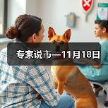 专家说市—11月18日