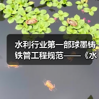 水利行业第一部球墨铸铁管工程规范——《水利水电工程球墨铸铁管道技术导则》正式发布（图2）
