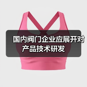 国内阀门企业应展开对产品技术研发（图2）