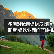 多国对我国钢材反倾销调查 钢铁业面临严峻挑战（图3）