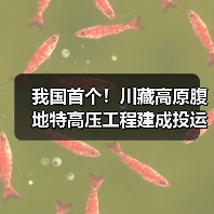 我国首个！川藏高原腹地特高压工程建成投运（图3）