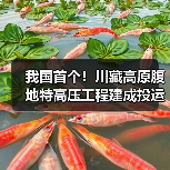 我国首个！川藏高原腹地特高压工程建成投运（图2）