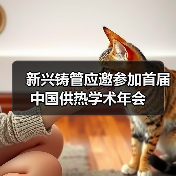 新兴铸管应邀参加首届中国供热学术年会