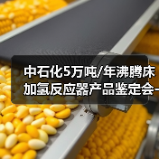 中石化5万吨/年沸腾床加氢反应器产品鉴定会-圆满落下帷幕（图3）