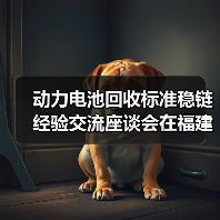 动力电池回收标准稳链经验交流座谈会在福建宁德召开（图2）