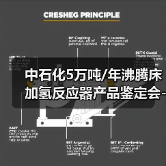 中石化5万吨/年沸腾床加氢反应器产品鉴定会-圆满落下帷幕