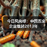 今日风向标：中国五金企业雄起2013年（图4）