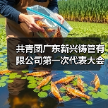 共青团广东新兴铸管有限公司第一次代表大会胜利召开（图2）