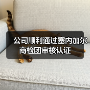 公司顺利通过塞内加尔商检团审核认证（图4）