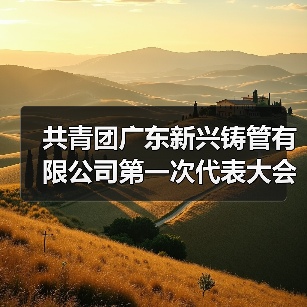 共青团广东新兴铸管有限公司第一次代表大会胜利召开（图4）