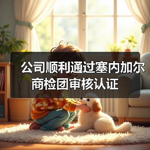 公司顺利通过塞内加尔商检团审核认证（图3）