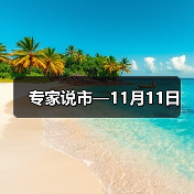 专家说市—11月11日