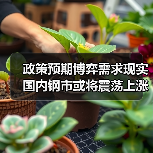 政策预期博弈需求现实 国内钢市或将震荡上涨（图3）