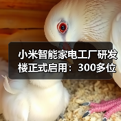 小米智能家电工厂研发楼正式启用：300多位研发工程师入驻（图4）