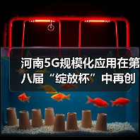 河南5G规模化应用在第八届“绽放杯”中再创佳绩（图4）