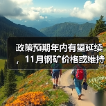政策预期年内有望延续，11月钢矿价格或维持偏强震荡（图4）