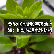 戈尔电池实验室落地上海：推动先进电池材料创新，服务全球客户（图4）