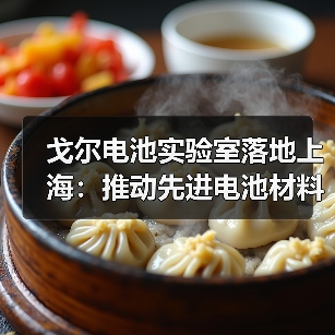 戈尔电池实验室落地上海：推动先进电池材料创新，服务全球客户（图2）