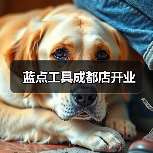 蓝点工具成都店开业（图4）