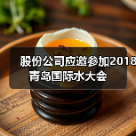 股份公司应邀参加2018青岛国际水大会（图4）