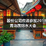 股份公司应邀参加2018青岛国际水大会