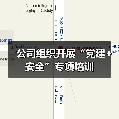 公司组织开展“党建+安全”专项培训（图4）