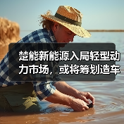 楚能新能源入局轻型动力市场，或将筹划造车（图3）