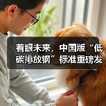 着眼未来，中国版“低碳排放钢”标准重磅发布（图4）