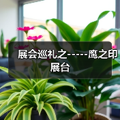 展会巡礼之-----鹰之印展台