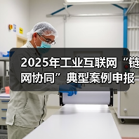 2025年工业互联网“链网协同”典型案例申报说明(图2) 2025年工业互联网“链网协同”典型案例申报说明(图2)