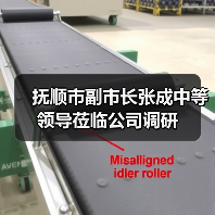 抚顺市副市长张成中等领导莅临公司调研(图2) 抚顺市副市长张成中等领导莅临公司调研(图2)