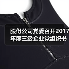股份公司党委召开2017年度三级企业党组织书记抓党建述职考评会(图4) 股份公司党委召开2017年度三级企业党组织书记抓党建述职考评会(图4)