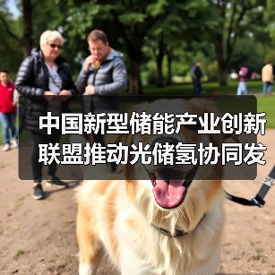 中国新型储能产业创新联盟推动光储氢协同发展(图4) 中国新型储能产业创新联盟推动光储氢协同发展(图4)