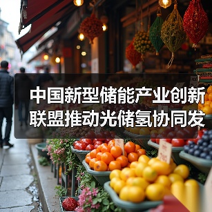 中国新型储能产业创新联盟推动光储氢协同发展(图3) 中国新型储能产业创新联盟推动光储氢协同发展(图3)