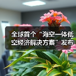 全球首个“海空一体低空经济解决方案”发布(图3) 全球首个“海空一体低空经济解决方案”发布(图3)