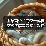 全球首个“海空一体低空经济解决方案”发布(图2) 全球首个“海空一体低空经济解决方案”发布(图2)