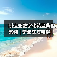 制造业数字化转型典型案例 | 宁波东方电缆