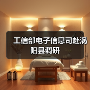 工信部电子信息司赴涡阳县调研(图3) 工信部电子信息司赴涡阳县调研(图3)