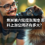 焦炭第六轮提涨落地 原料上涨空间还有多大?(图2) 焦炭第六轮提涨落地 原料上涨空间还有多大?(图2)
