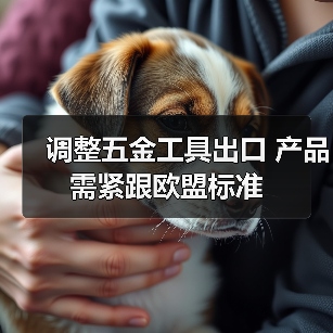 调整五金工具出口 产品需紧跟欧盟标准(图2) 调整五金工具出口 产品需紧跟欧盟标准(图2)