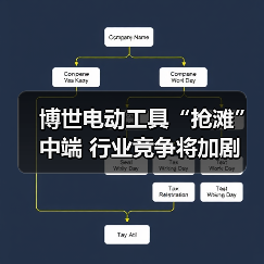 博世电动工具“抢滩”中端 行业竞争将加剧(图1) 博世电动工具“抢滩”中端 行业竞争将加剧(图1)