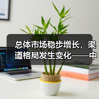 总体市场稳步增长,渠道格局发生变化——中国电动工具市场2013年第1季度回顾与展望(图4) 总体市场稳步增长,渠道格局发生变化——中国电动工具市场2013年第1季度回顾与展望(图4)