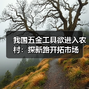 我国五金工具欲进入农村:探新路开拓市场(图2) 我国五金工具欲进入农村:探新路开拓市场(图2)