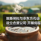 埃斯顿拟与京东方传感设立合资公司 开展伺服相关业务(图1) 埃斯顿拟与京东方传感设立合资公司 开展伺服相关业务(图1)