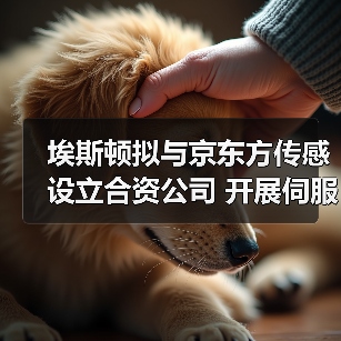 埃斯顿拟与京东方传感设立合资公司 开展伺服相关业务(图2) 埃斯顿拟与京东方传感设立合资公司 开展伺服相关业务(图2)