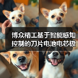 博众精工基于智能感知控制的刀片电池电芯极片切叠装备场景