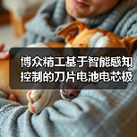 博众精工基于智能感知控制的刀片电池电芯极片切叠装备场景(图3) 博众精工基于智能感知控制的刀片电池电芯极片切叠装备场景(图3)